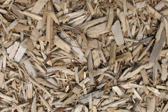biomass boilers Vicarage